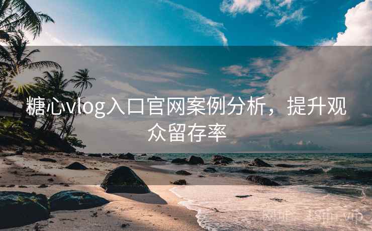 糖心vlog入口官网案例分析,提升观众留存率